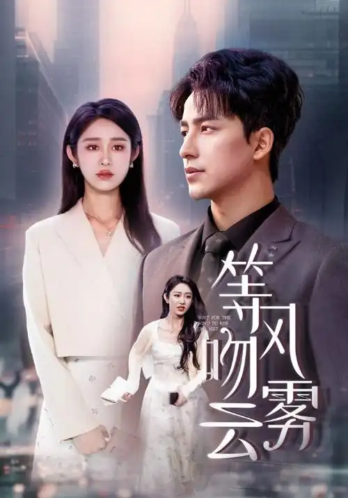 雾港迷局 热播电视剧全集手机免费在线观看